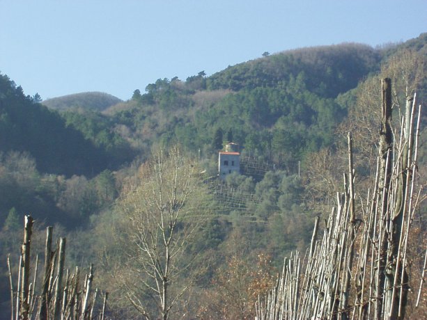 Una casa sulla vigna 4