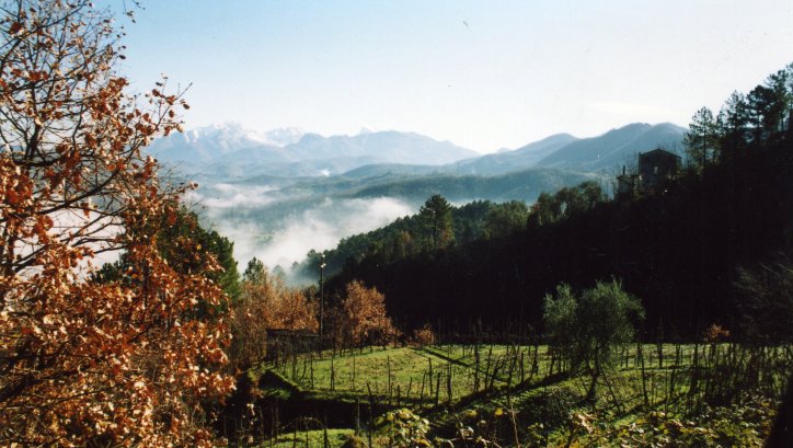 Una casa sulla vigna