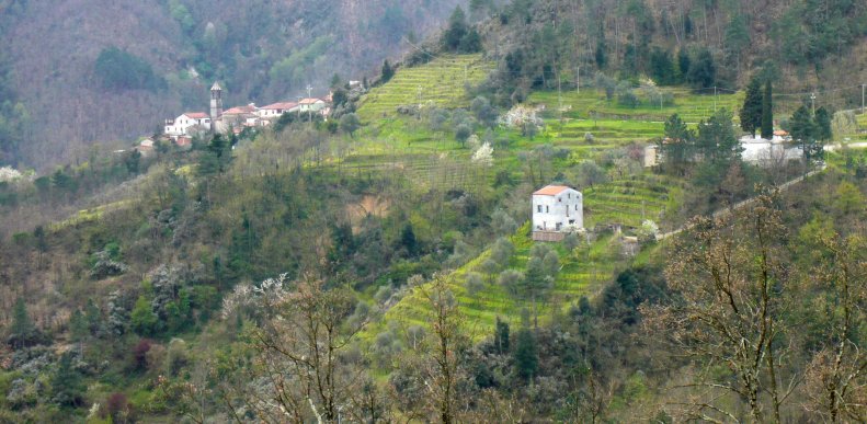 Una casa sulla vigna 1